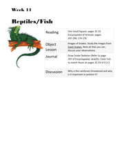 Load image into Gallery viewer, Habitats Bundle (PDF)
