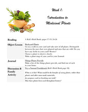 Load image into Gallery viewer, Delighting in Creation: Medicinal Plants (PDF)
