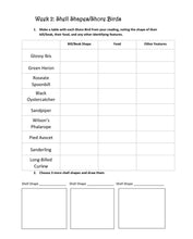 Load image into Gallery viewer, Seashells Student Journal (PDF)
