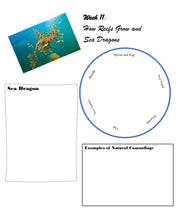 Load image into Gallery viewer, Habitats Mega Bundle (PDF)
