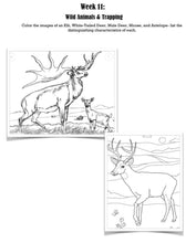 Load image into Gallery viewer, Scouting 2 Student Journal (Print)
