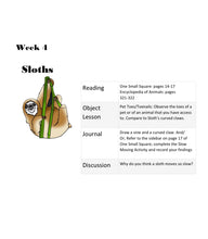 Load image into Gallery viewer, Habitats Mega Bundle (PDF)
